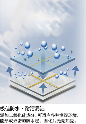 1654415662571677.png 28-冠固達品牌-真瓷膠-4.png