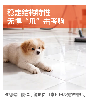 冠固達(dá)- 1688匠心磚色系列水洗碳環(huán)彩砂美縫劑-04.jpg